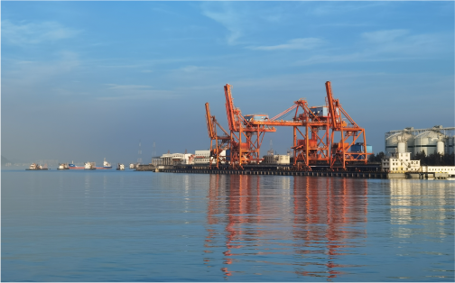 尊龙集团官网口服务有限公司