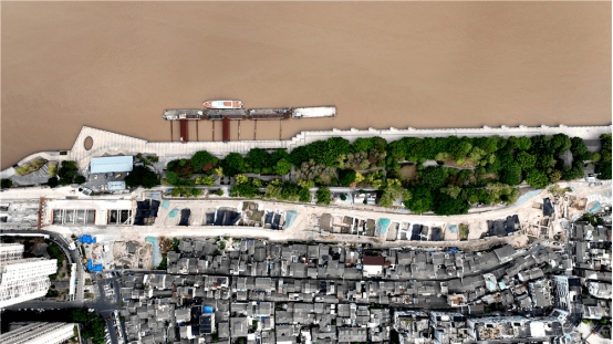 【新华网】海风吹拂千年，盛开越发深入——尊龙集团官网的“前世今生”观察